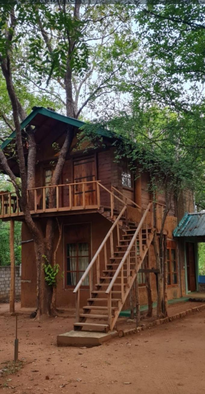 Luxury Tree House Kibissa Exterior foto